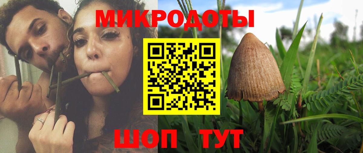 Псилоцибиновые грибы Psilocybine cubensis Электрогорск