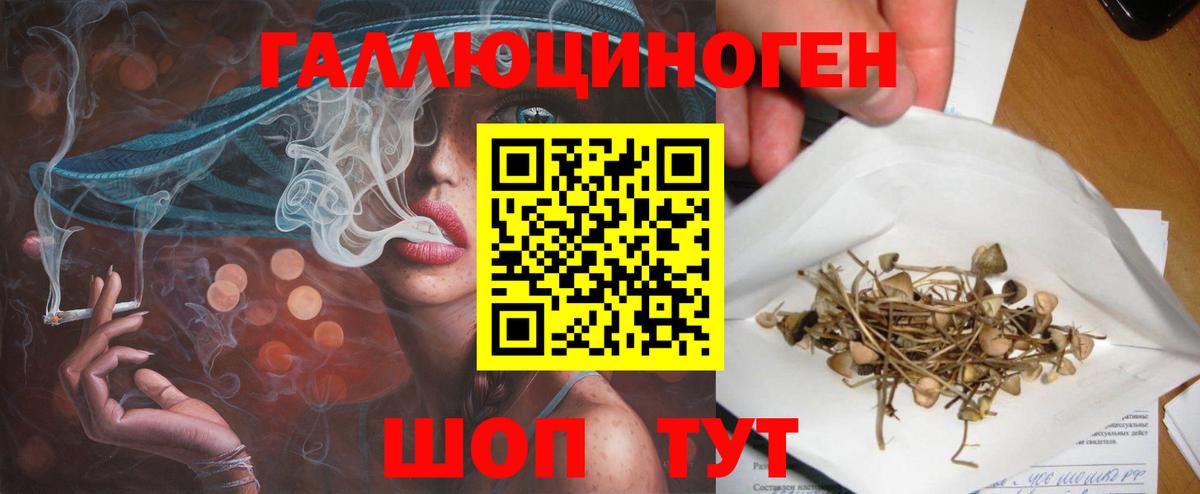 Электрогорск  Галлюциногенные грибы Psilocybine cubensis  где купить наркотик  Вход с VPN 